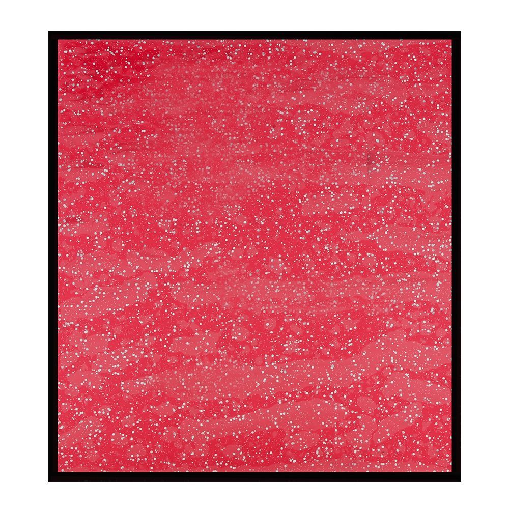 Jimmy Choo Blossom Eau De Parfum | France | Fragrances for Women.