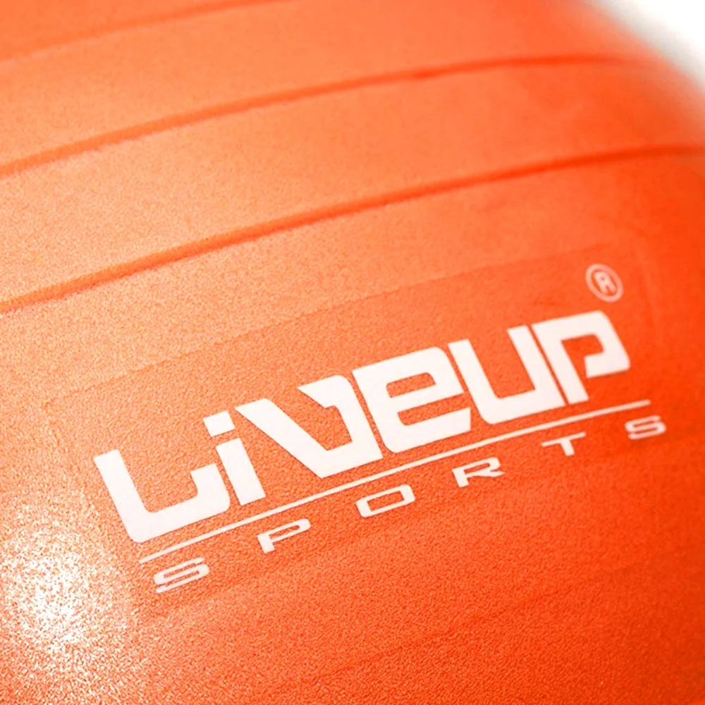 Liveup Gym Ball Anti Burst 65cm LS3222 | Liveup Gym Ball | Gym Ball