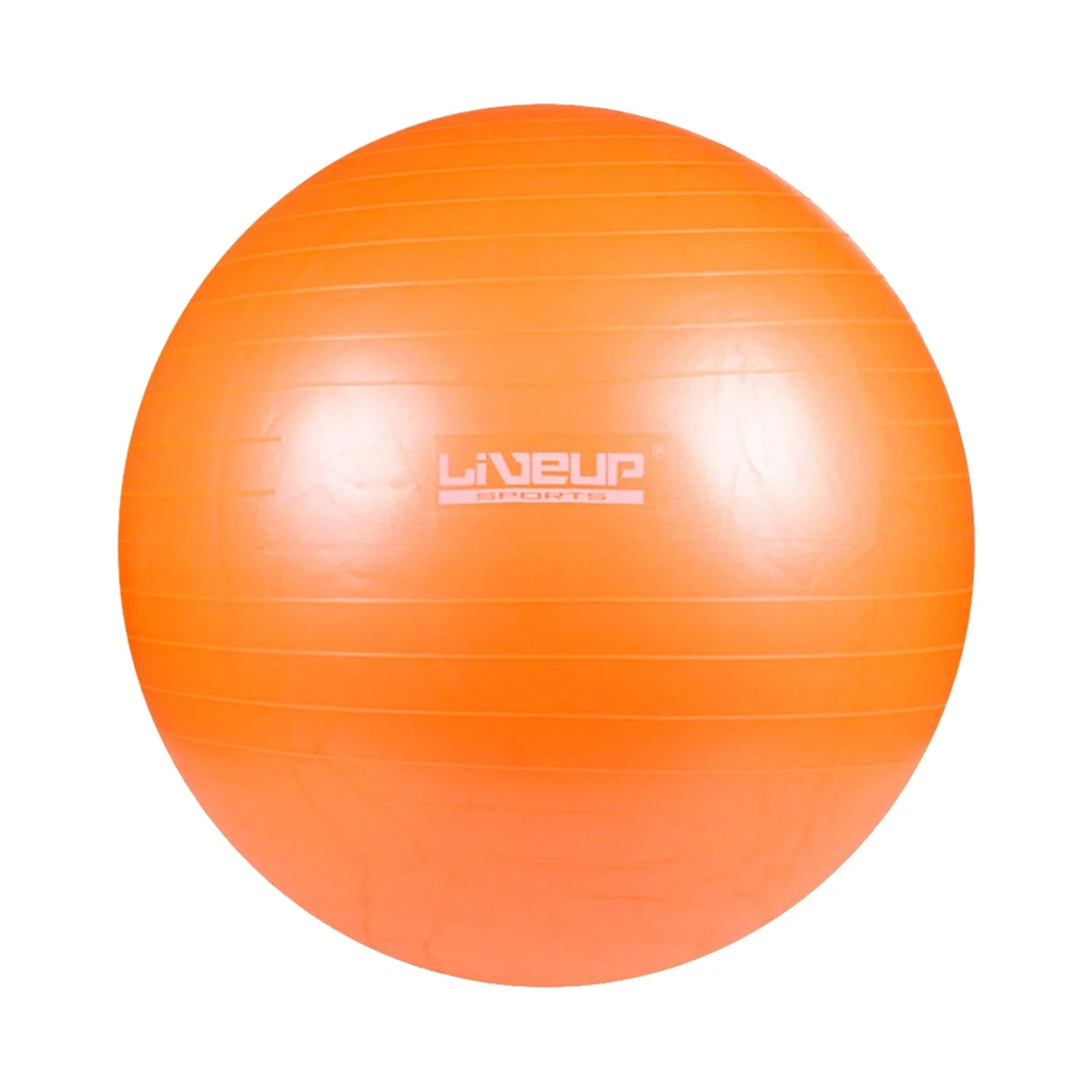Liveup Gym Ball Anti Burst 65cm LS3222 | Liveup Gym Ball | Gym Ball