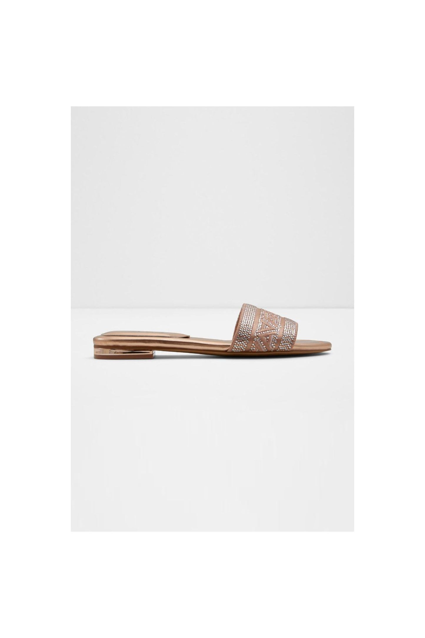 ALDO Ghalia | Flats Beige | Women