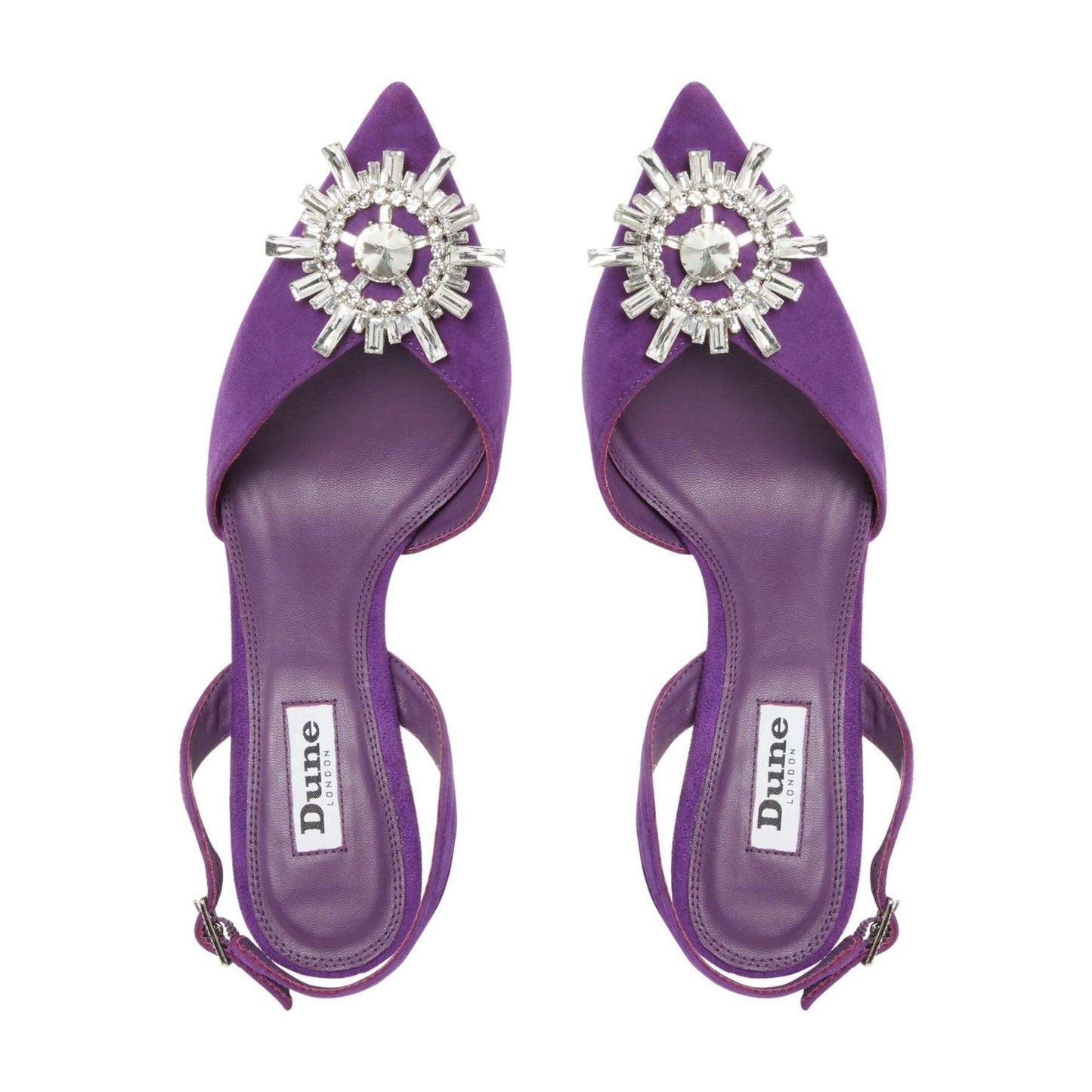 CASIS - PURPLE