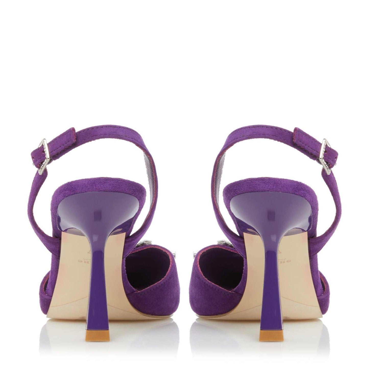 CASIS - PURPLE