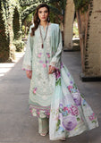 ECF-11A SERENITY | Elaf Premium festive Chikankari collection2023