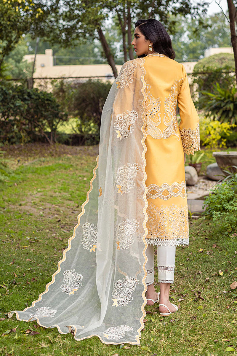 DAISY MCP-02 | Mushq Summer Bloom Casual Pret ‘22 | Unstitched Embroidered Cotton Net Suits