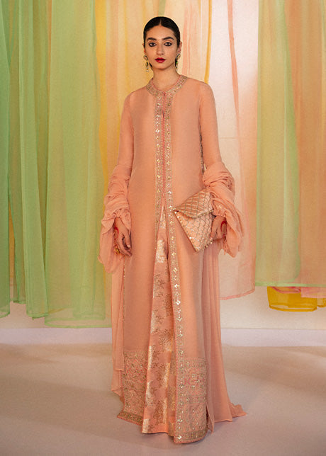 Rabt | Hussain Rehar Khawab Ghar Eid Luxury Pret RTW Collection 2022 | Stitched Organza Silk Suit