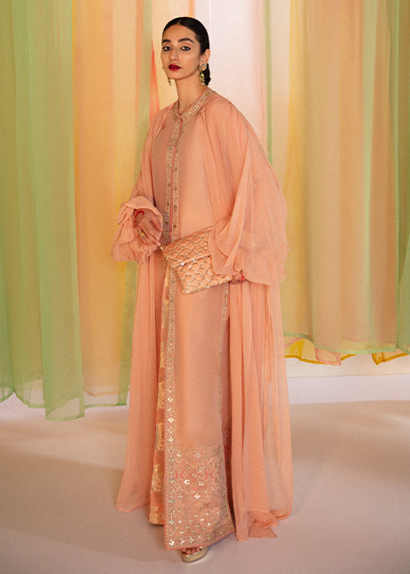 Rabt | Hussain Rehar Khawab Ghar Eid Luxury Pret RTW Collection 2022 | Stitched Organza Silk Suit