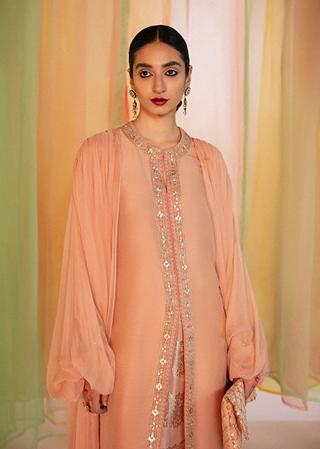 Rabt | Hussain Rehar Khawab Ghar Eid Luxury Pret RTW Collection 2022 | Stitched Organza Silk Suit
