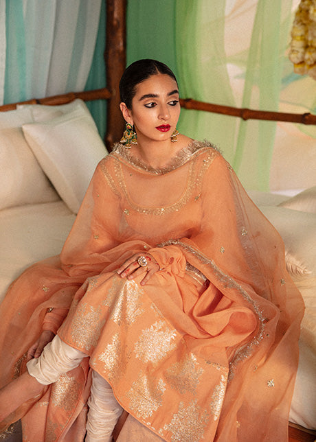Tabir | Hussain Rehar Khawab Ghar Eid Luxury Pret RTW Collection 2022 | Stitched Organza Silk Suit
