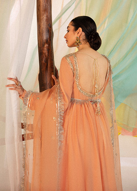 Tabir | Hussain Rehar Khawab Ghar Eid Luxury Pret RTW Collection 2022 | Stitched Organza Silk Suit