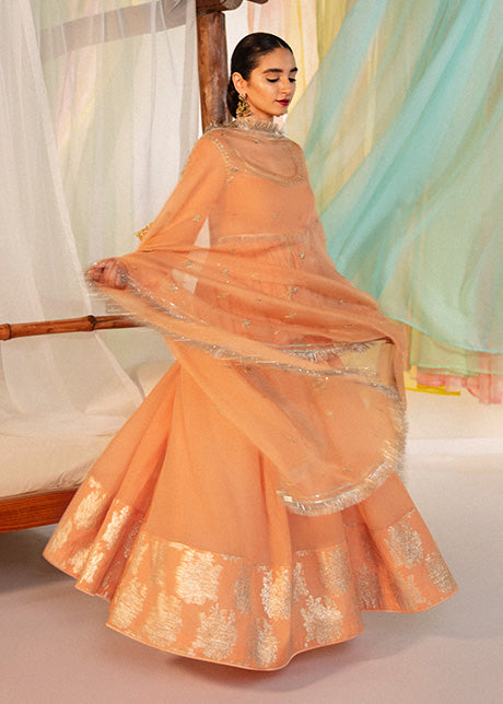 Tabir | Hussain Rehar Khawab Ghar Eid Luxury Pret RTW Collection 2022 | Stitched Organza Silk Suit