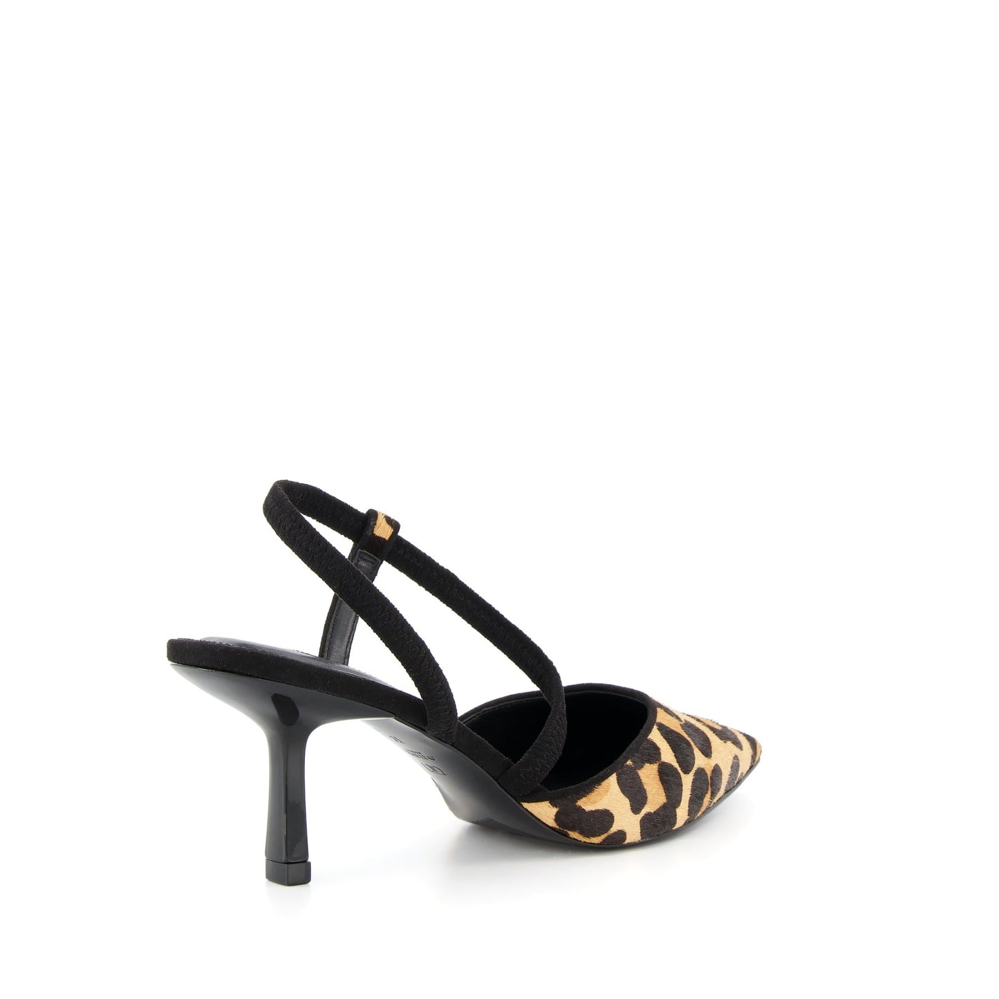 COLOMBIA - LEOPARD
