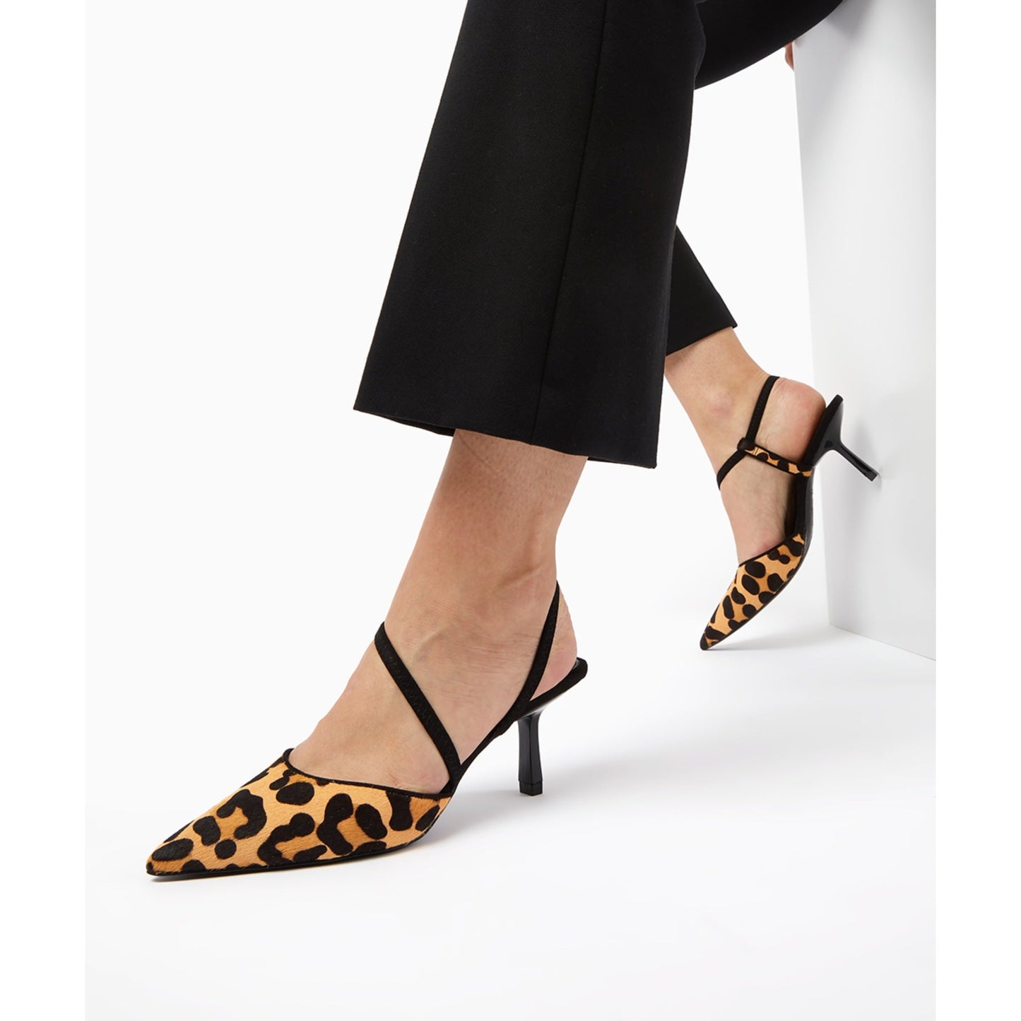 COLOMBIA - LEOPARD