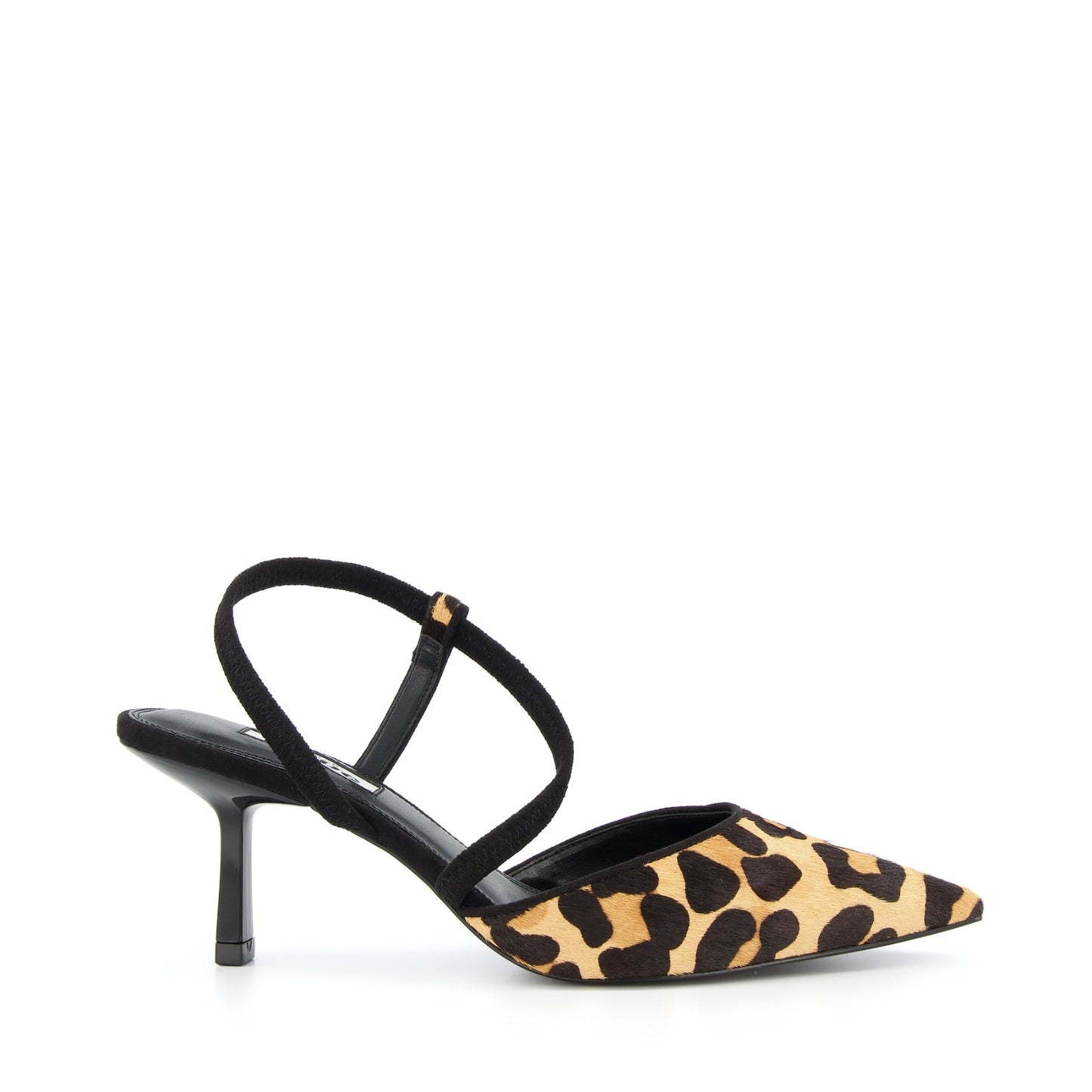 COLOMBIA - LEOPARD