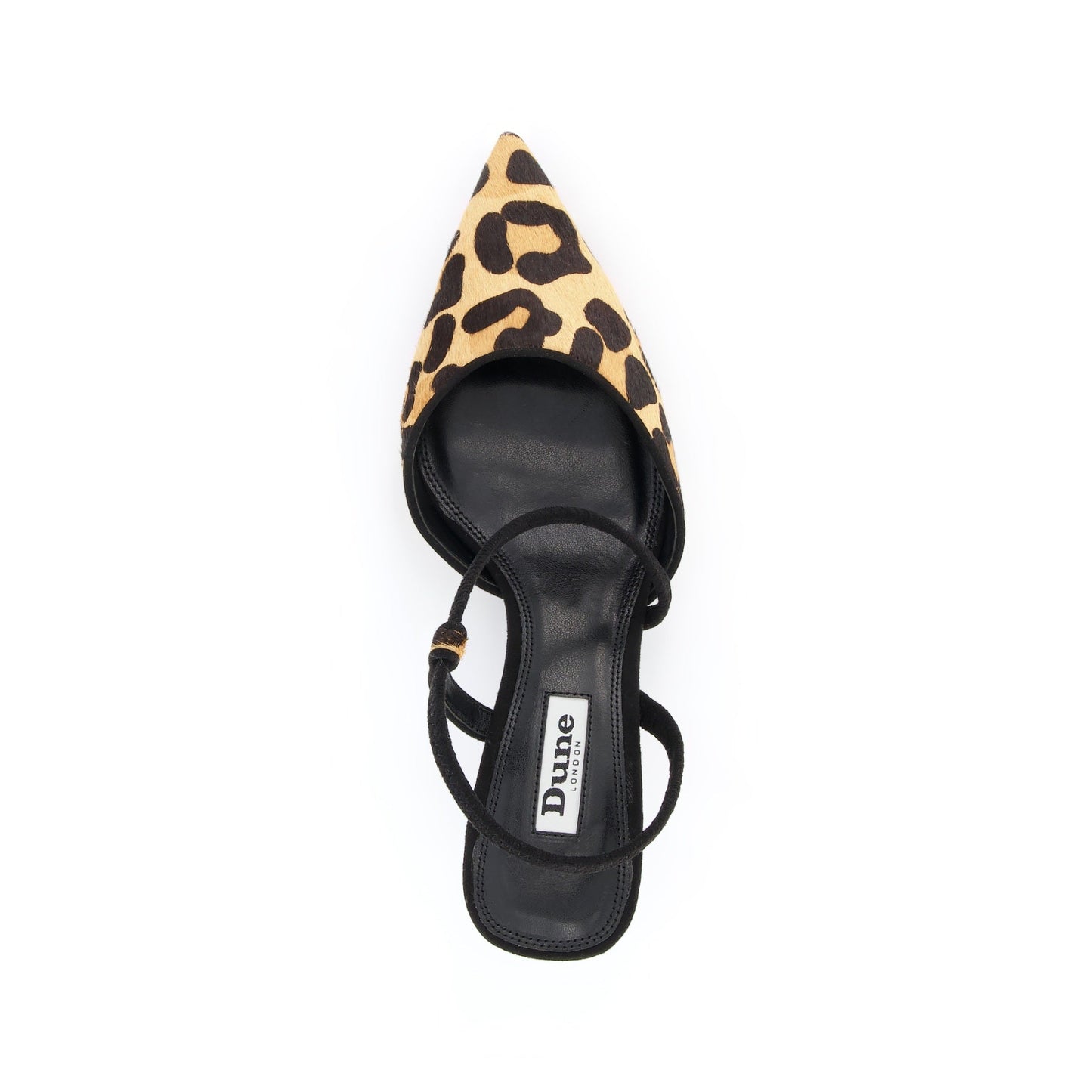 COLOMBIA - LEOPARD