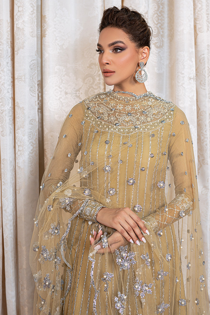 TENSIL | Mushq Monsoon Wedding Luxury Chiffon Collection 2022 | Unstitched Embroidered Chiffon Suits
