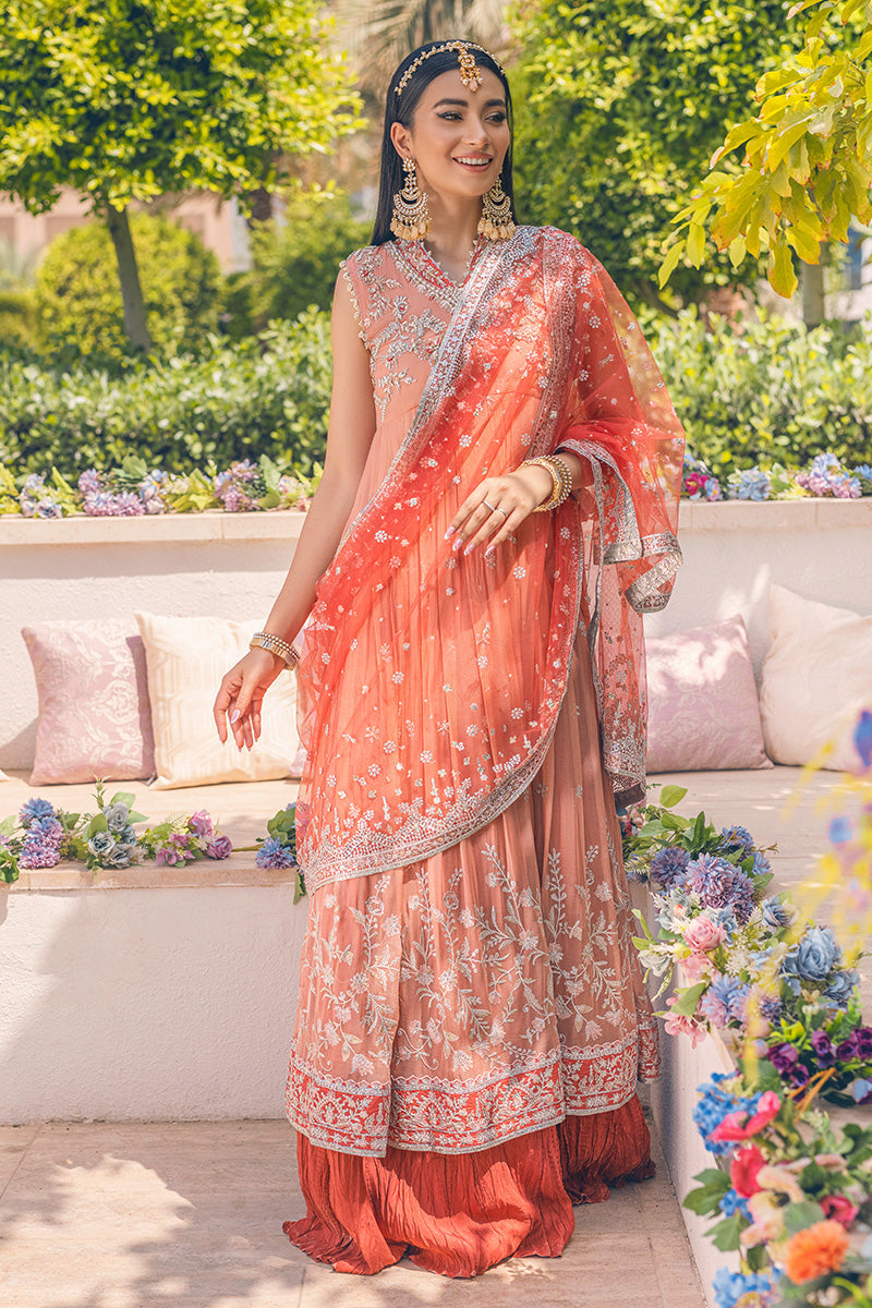 PORCELAIN ROSE | Mushq Monsoon Wedding Luxury Chiffon Collection 2022 | Unstitched Embroidered Chiffon Suits