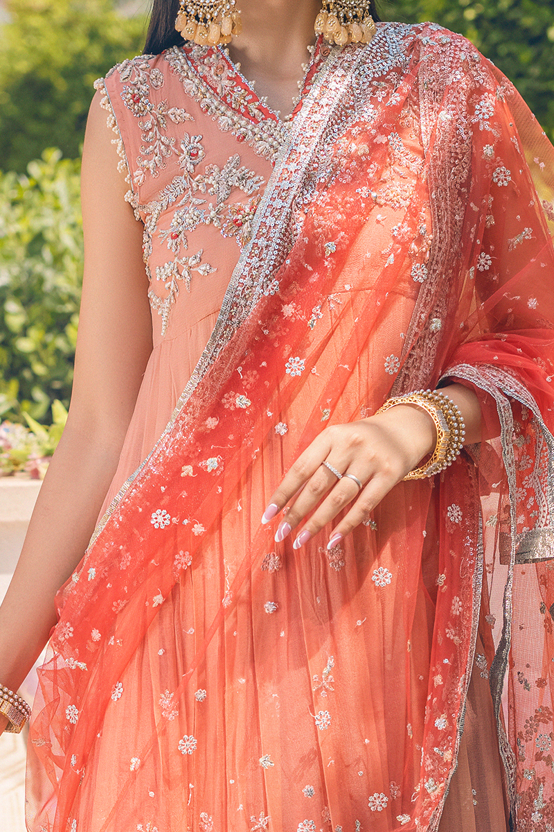PORCELAIN ROSE | Mushq Monsoon Wedding Luxury Chiffon Collection 2022 | Unstitched Embroidered Chiffon Suits