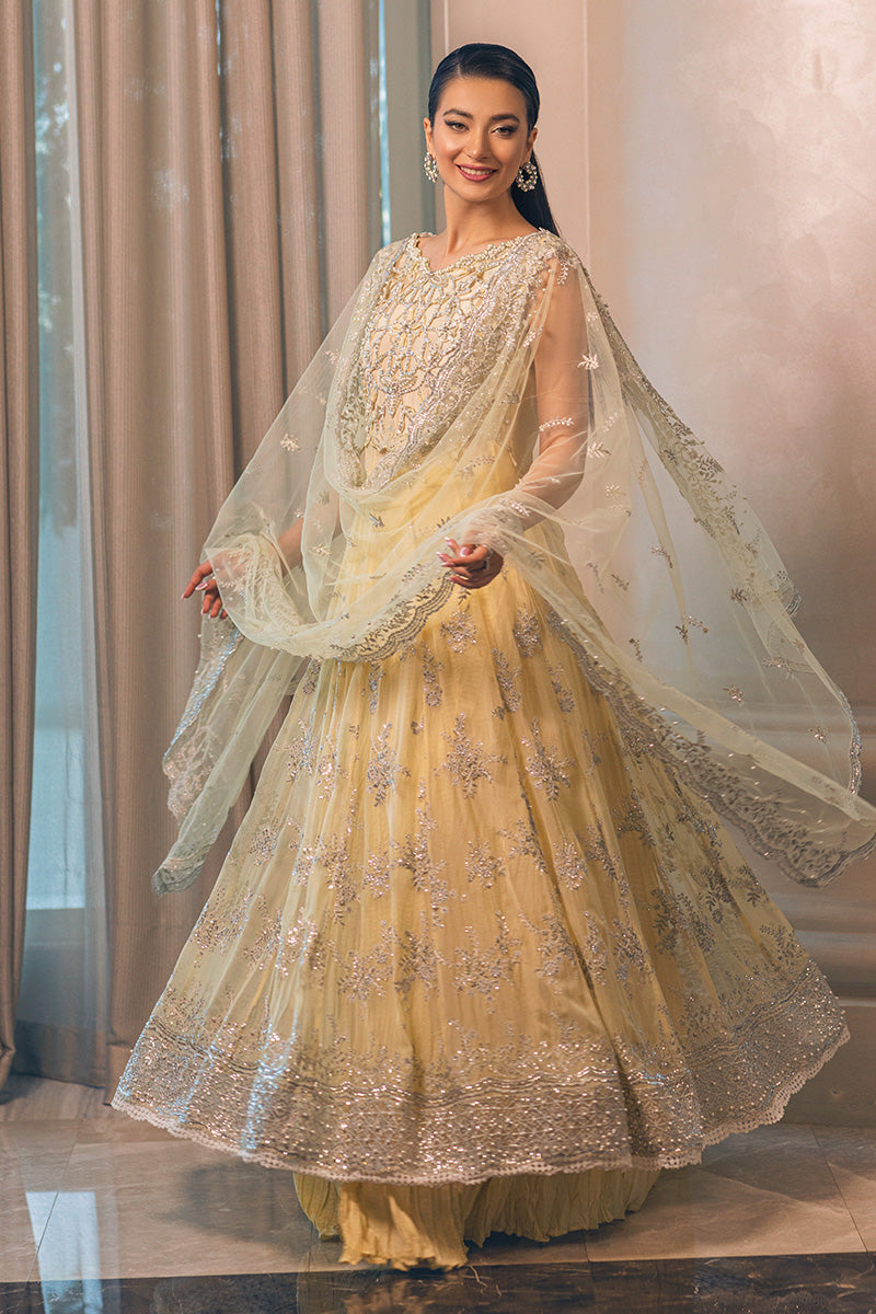AURORA | Mushq Monsoon Wedding Luxury Chiffon Collection 2022 | Unstitched Embroidered Chiffon Suits