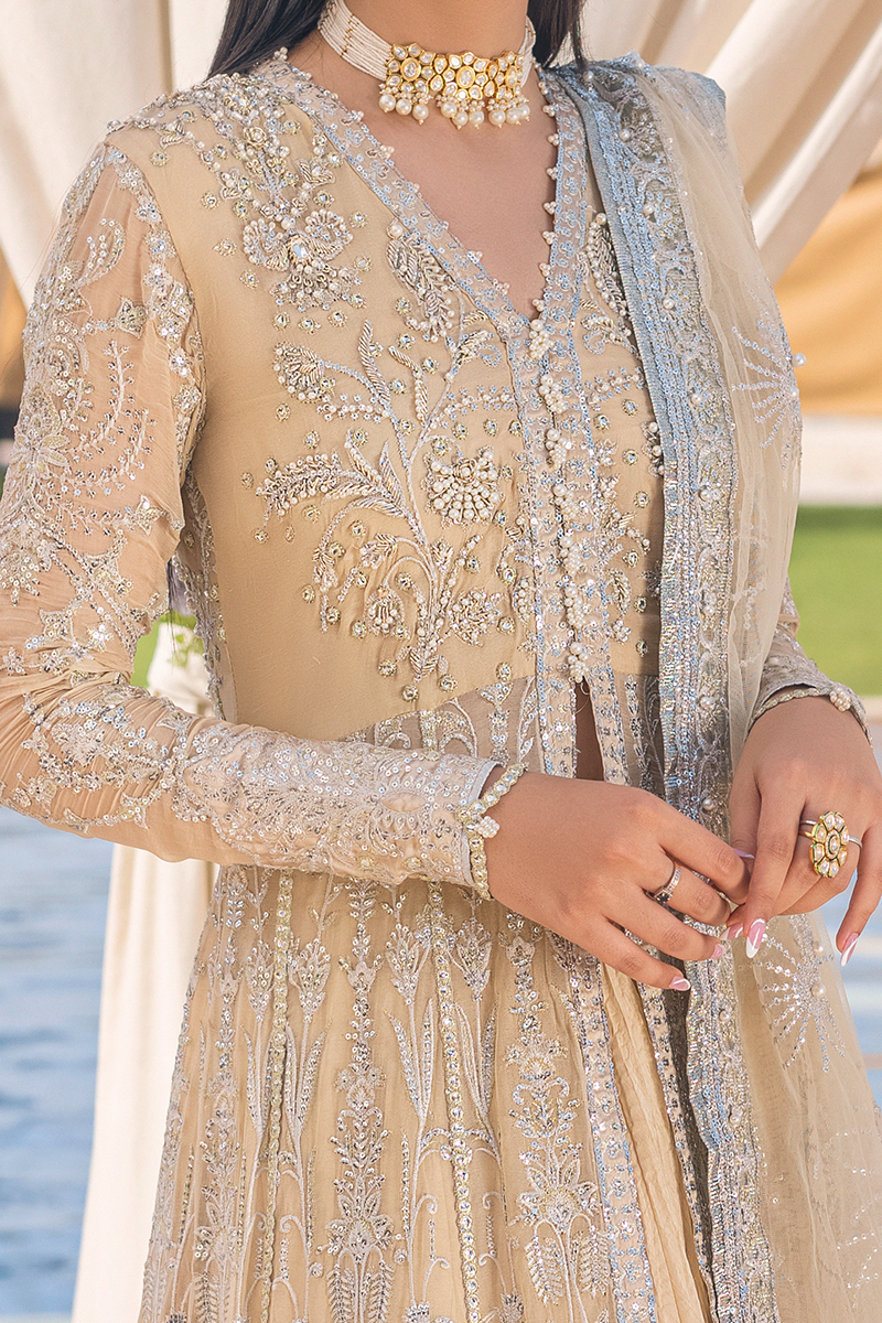 AFTERGLOW | Mushq Monsoon Wedding Luxury Chiffon Collection 2022 | Unstitched Embroidered Chiffon Suits