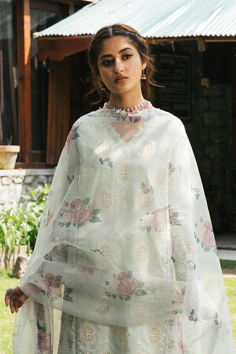 EB-06 LIANA | Qalamkar Rahi Luxury Festive Collection 2022 | Unstitched Embroidered Lawn Suits