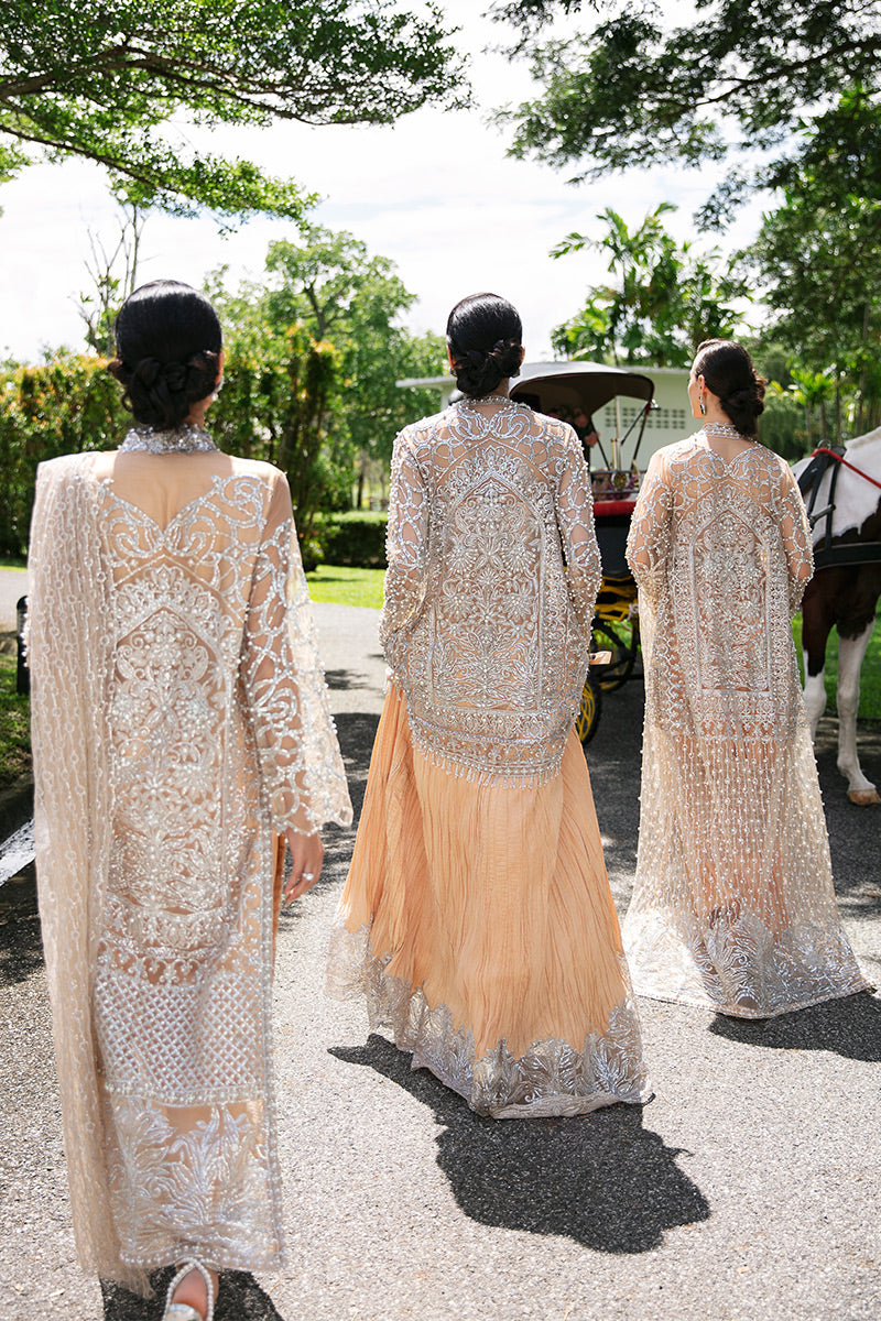 Isabelle TDL22-01 | Mushq Serendipity Trousseau De Luxe 2022 Luxury Wedding Collection | Embroidered Net Suits