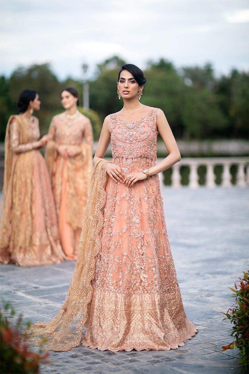 Nicole TDL22-05 | Mushq Serendipity Trousseau De Luxe 2022 Luxury Wedding Collection | Embroidered Net Suits