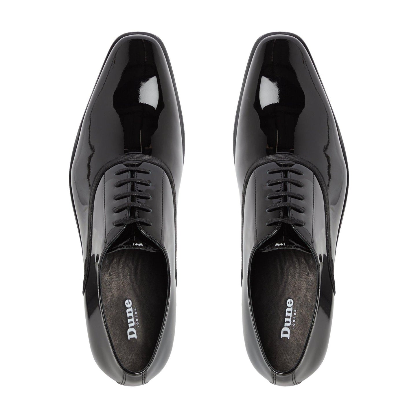 SWAN - BLACK
