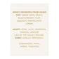 Kohasaa Aima Baig For Her, Eau De Parfum, 100ml | United Arab Emirates | Fragrance For Women