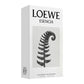 Loewe Essencia Pour Homme, Eau De Toilette| Spain | For Women