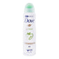 Dove Go Fresh Cucumber & Green Tea Anti-Transparent Deodorant Spray | Dove | For Women