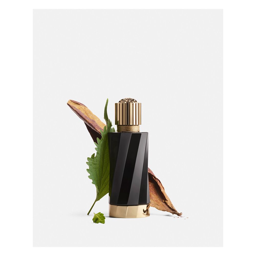 Versace Atelier Tabac Imperial Perfume, Eau de Parfum, 100ml | Italy | Fragrance For Men & Women