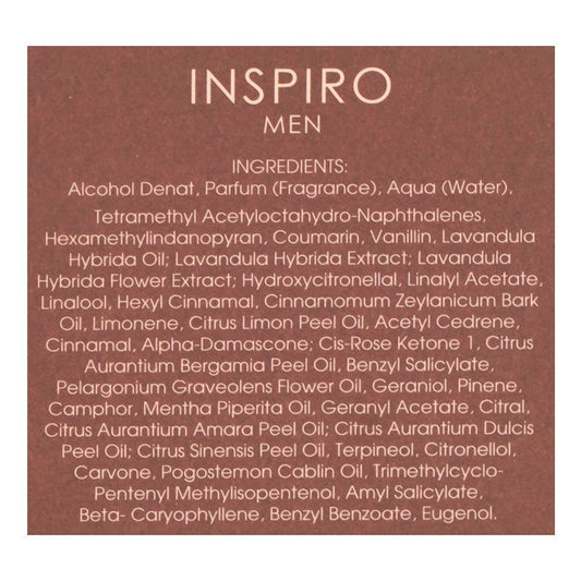 Riiffs Inspiro Men, Eau De Parfum, 100ml | United Arab Emirates | Fragrance For Men