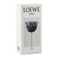 Loewe Solo Ella Elixir, Eau De Parfum, 100ml | Spain | Fragrance For Women