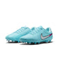 LEGEND 10 ACADEMY FG/MG | Nike Men Shoes | Football & Soccer
