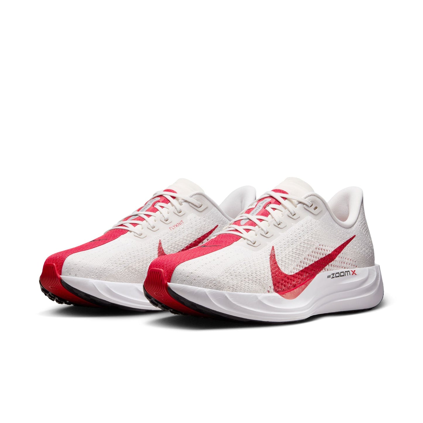 PEGASUS PLUS | NIKE Men Shoes | Running Shoes
