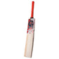 CA Cricket Hardball Bat Gold-5000 English Willow | CA Cricket Hardball Bat Gold | Cricket