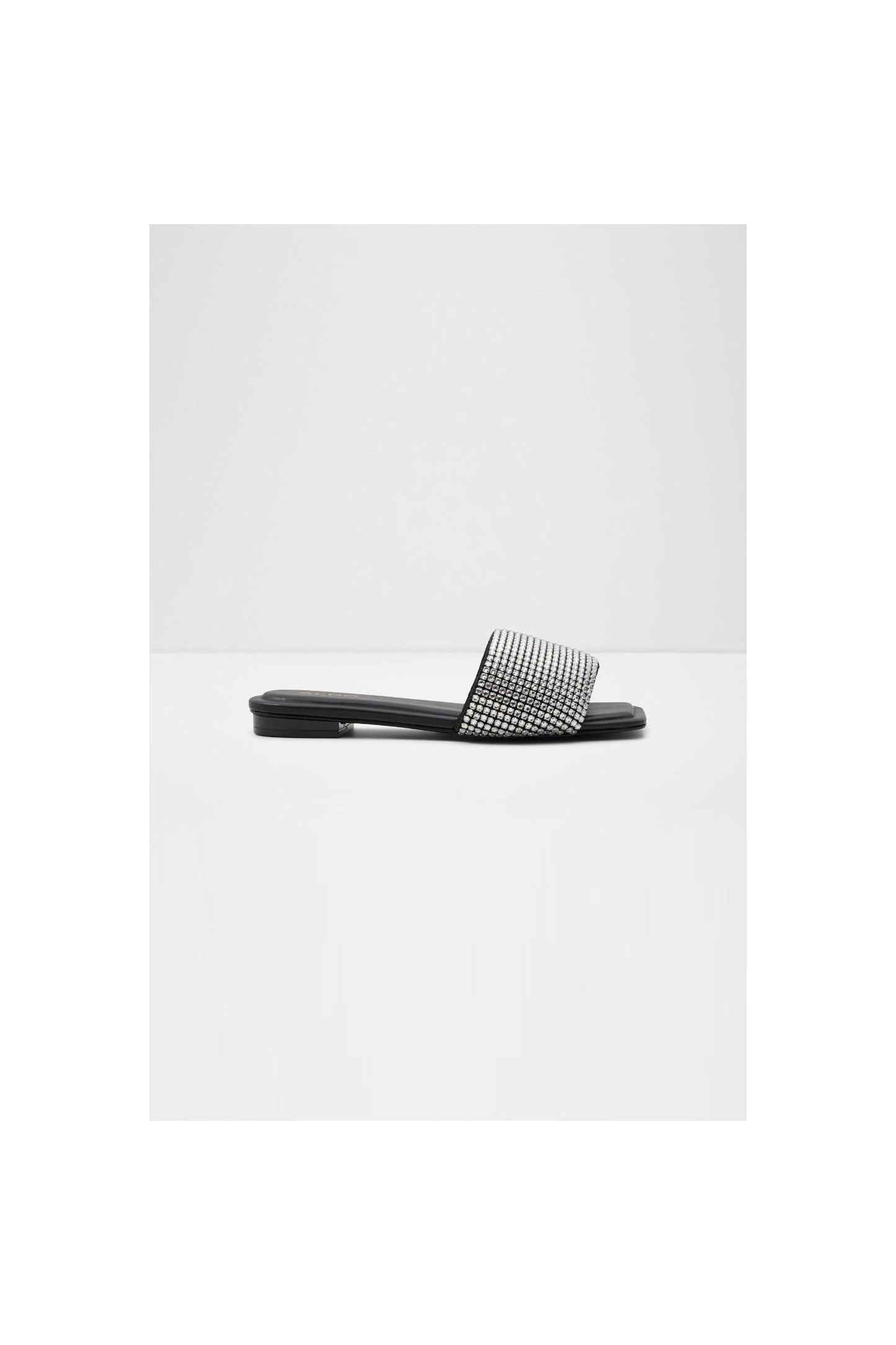 ALDO Arianwan | Flats Black | Women