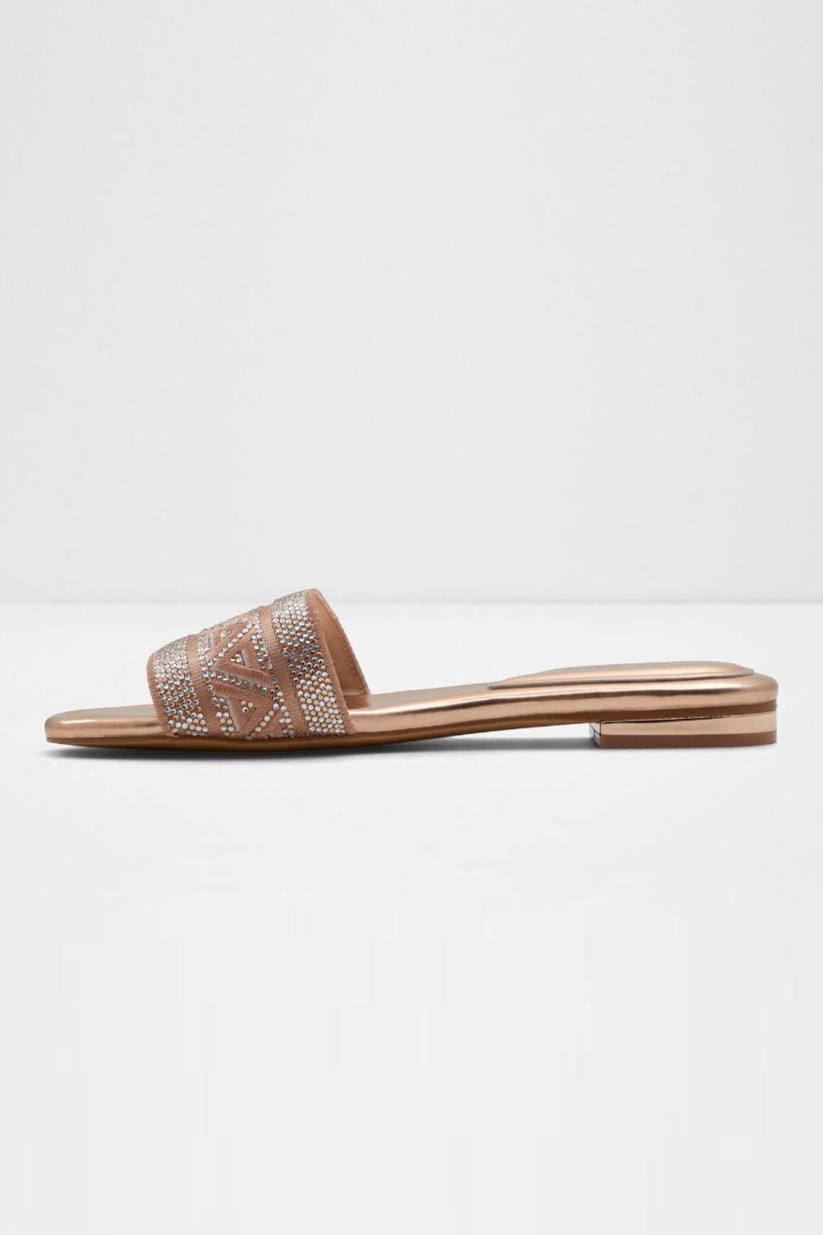 ALDO Ghalia | Flats Beige | Women