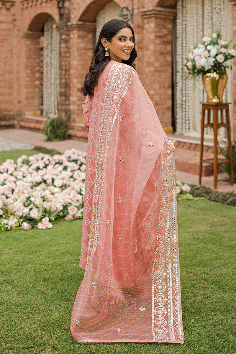 GUL-E MARJAAN-3PC |  Cross Stitch The Bride Tribe Wedding Festive Collection 2022 | Unstitched Embroidered Jacquard Suits