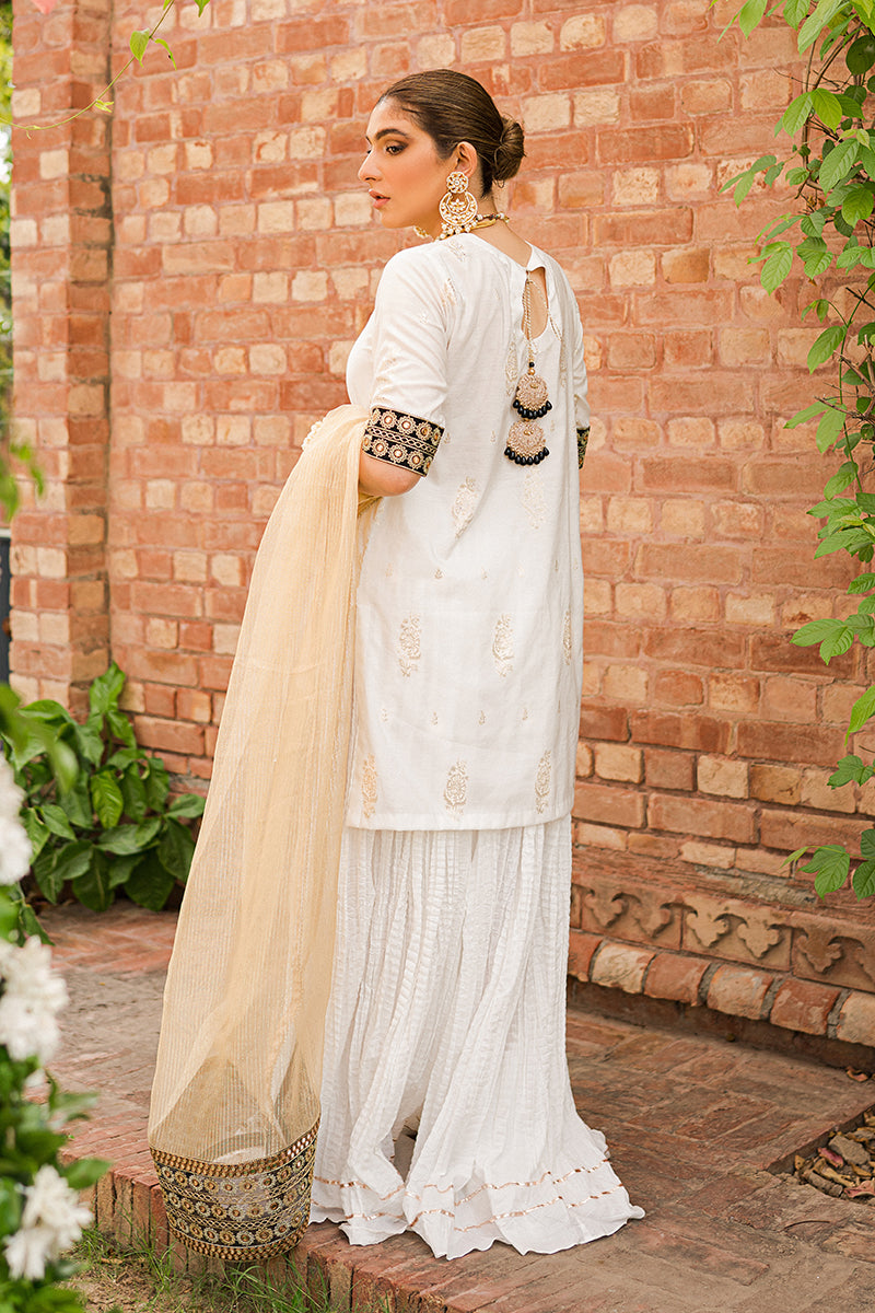SHAH NOOR-3PC |  Cross Stitch The Bride Tribe Wedding Festive Collection 2022 | Unstitched Embroidered Jacquard Suits.