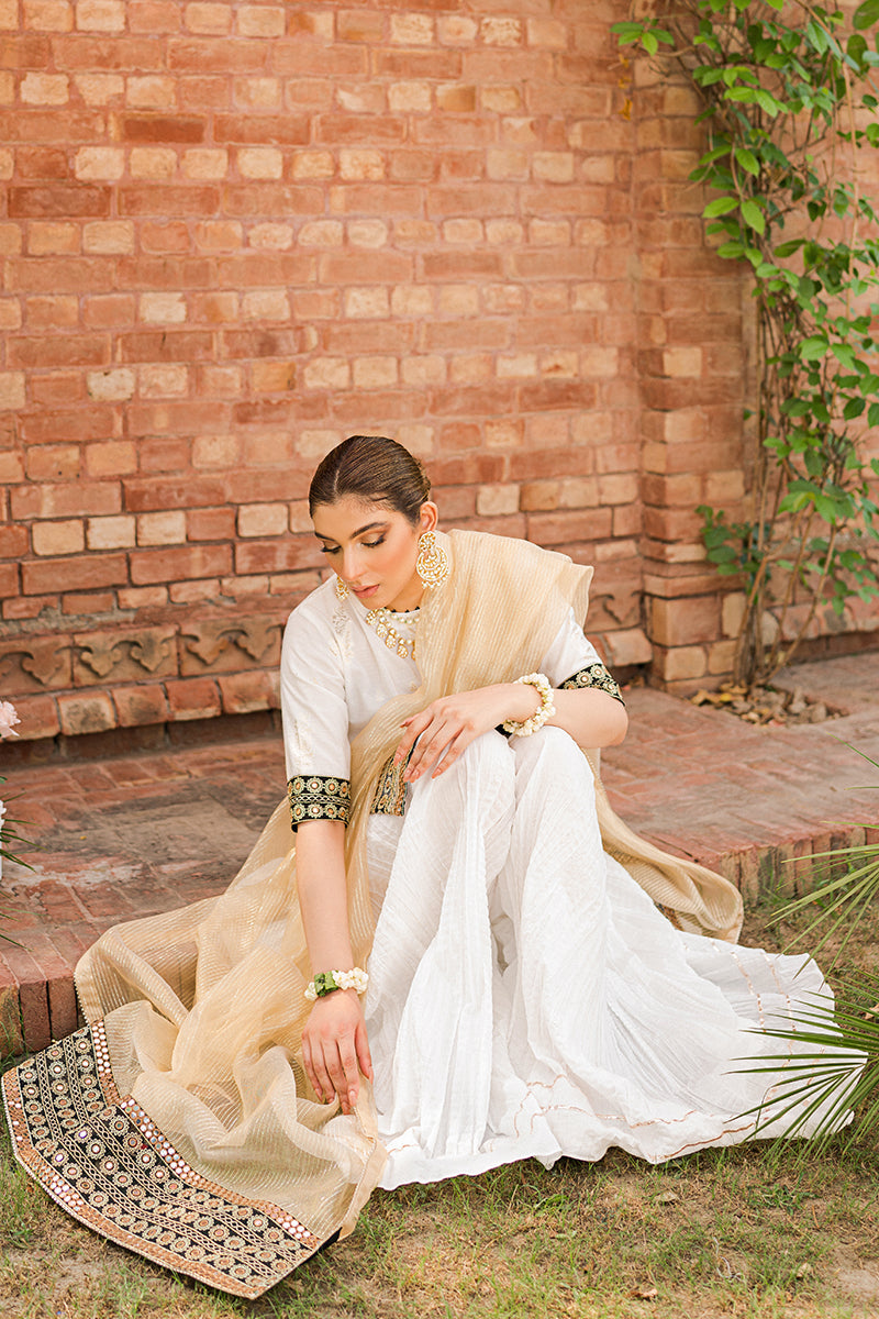 SHAH NOOR-3PC |  Cross Stitch The Bride Tribe Wedding Festive Collection 2022 | Unstitched Embroidered Jacquard Suits.