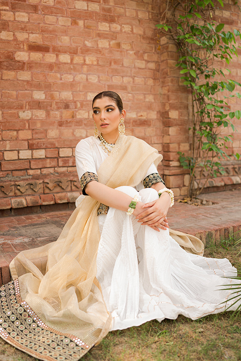 SHAH NOOR-3PC |  Cross Stitch The Bride Tribe Wedding Festive Collection 2022 | Unstitched Embroidered Jacquard Suits.