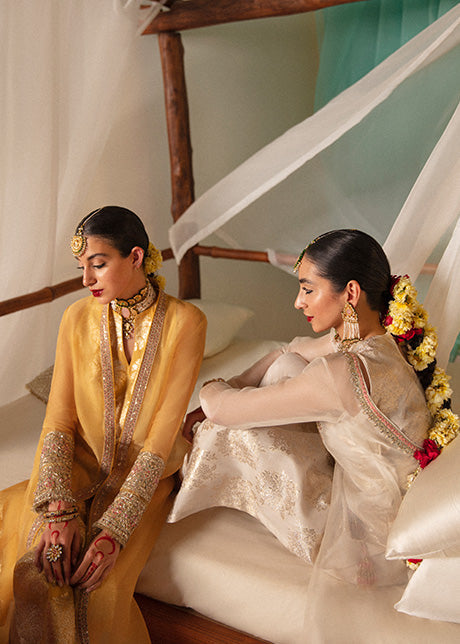 Aks  | Hussain Rehar Khawab Ghar Eid Luxury Pret RTW Collection 2022 | Stitched Organza Silk Suit