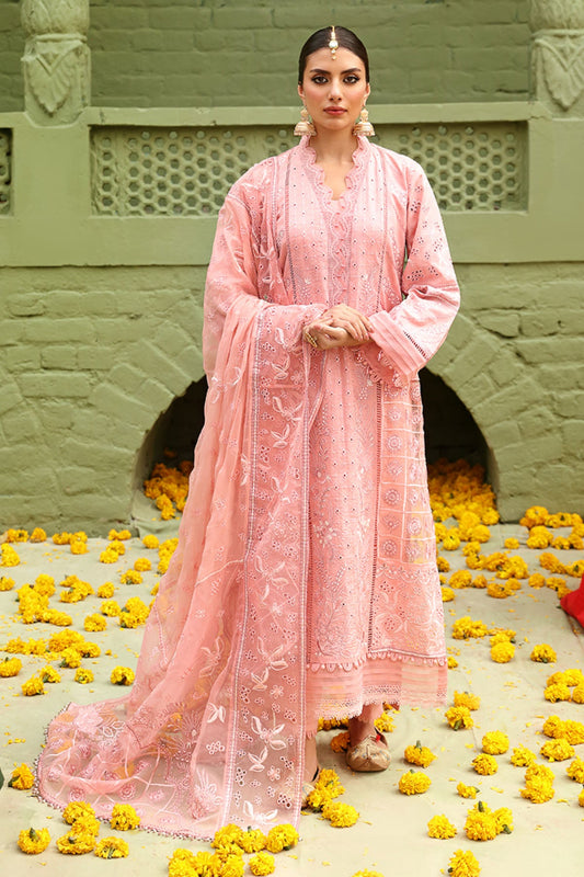 NDS-95 | Nureh Mehmaan Nawazi Eid lawn2023
