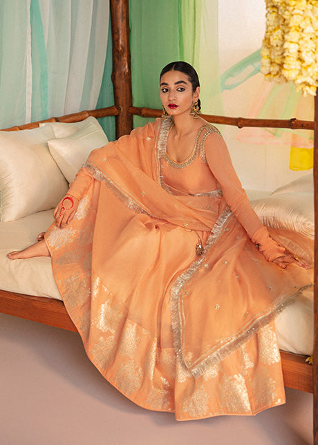 Tabir  | Hussain Rehar Khawab Ghar Eid Luxury Pret RTW Collection 2022 | Stitched Organza Silk Suit