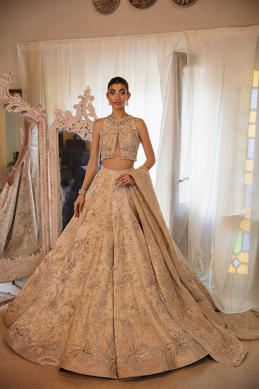 DARIA | Suffuse Aab-e-Zar Luxury Wedding Collection 2022 | Stitched Reay to Wear Embelished Bridal Suits