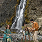 AJSL-7 | Asim Jofa Shehr-e-Yaar Luxury Lawn Collection 2022 | Unstitched Embroidered Lawn Suits