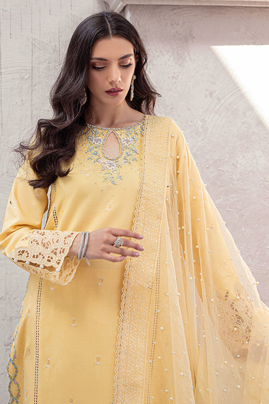 MANGO SORBET MLE22-01 | Mushq Eid Pret Drop 2 | 3Pc Cotton Net Suit