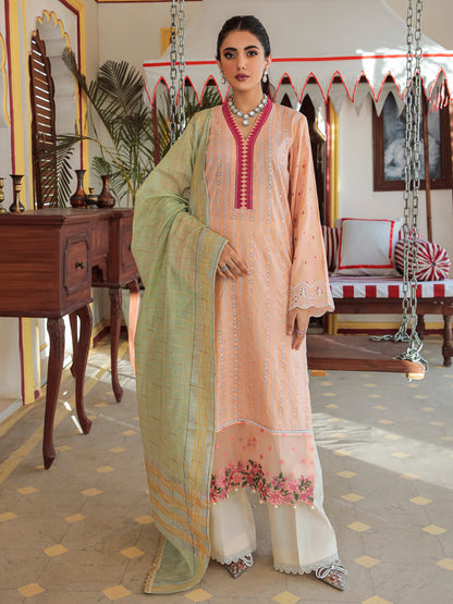 Nissa Festive By RajBari '22  D#03 | Unstitched Embroidered Schiffli Suit
