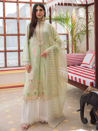 Nissa Festive By RajBari '22  D#05 | Unstitched Embroidered Jacquard Suit